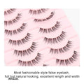 Anime Winged Natural False Eyelashes