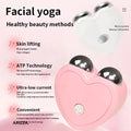 Mini Facial 3D Microcurrent Electric Face Massager