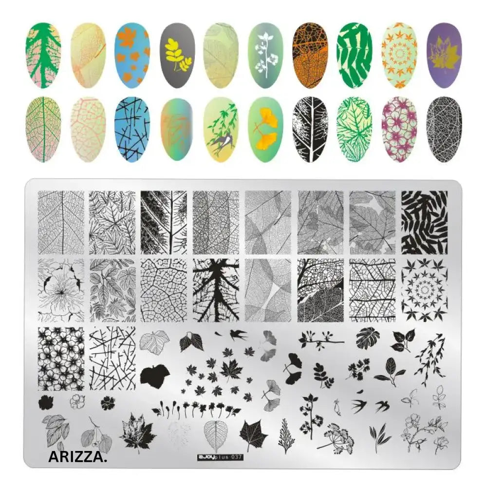 Nail Stamping Plates Flower Art Template PLUS37